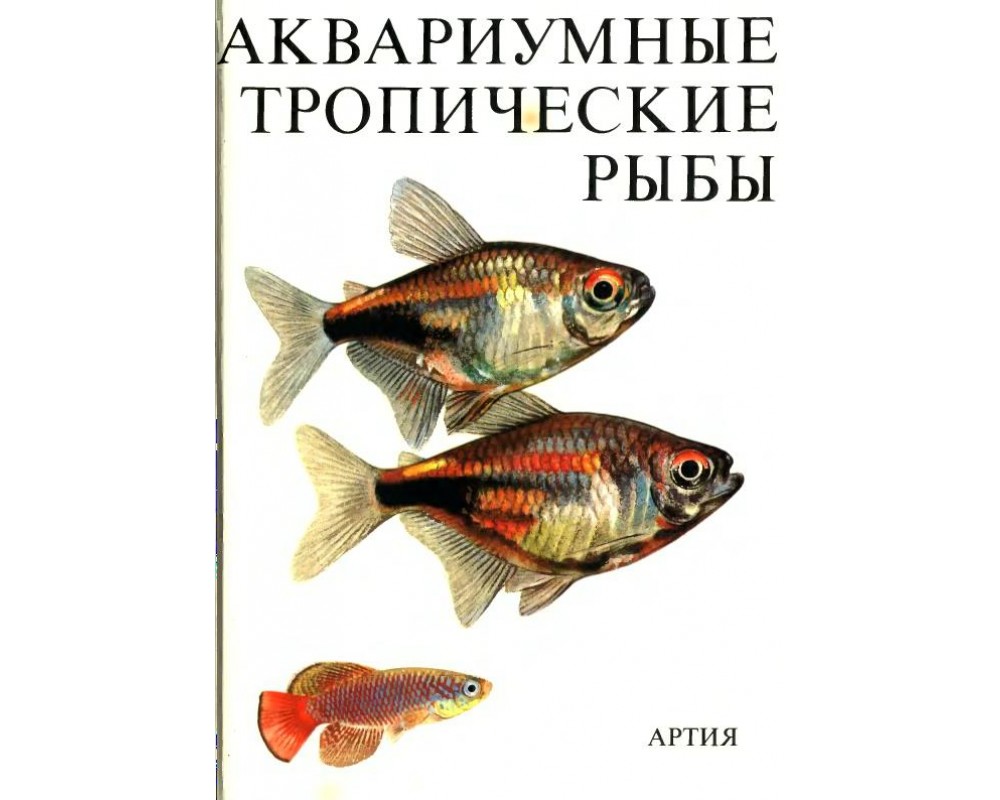 Петровицкий И. Аквариумные тропические рыбы. 1984