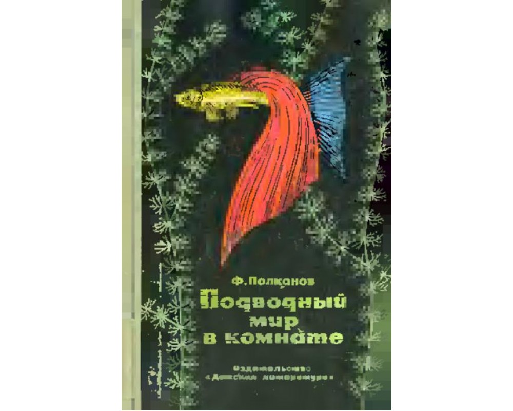 Полканов Ф. Подводный мир в комнате. 1970