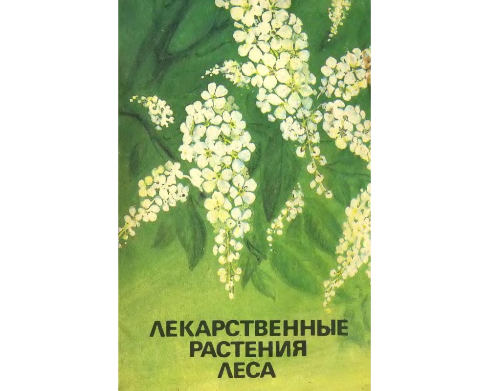 Ниточкина Т. Д. Лекарственные растения леса, 1991